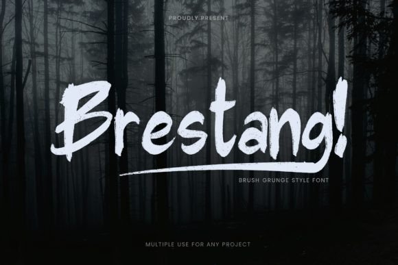 How Brestang Font Gave My Small Business a Bold New Look